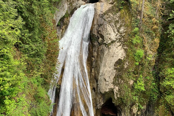 Guided forest hike to Seattle waterfalls incl. Snoqualmie Falls - Should you book this Snoqualmie waterfall hike?