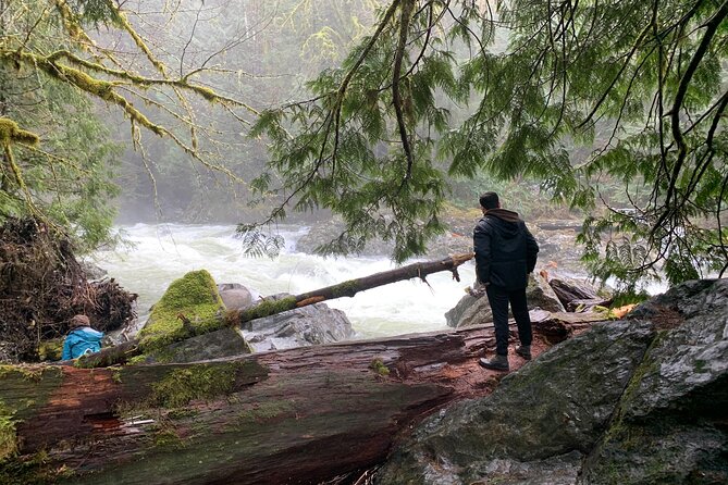 Guided forest hike to Seattle waterfalls incl. Snoqualmie Falls - North Bend and Snoqualmie: historic logging-town stops that feel lived-in