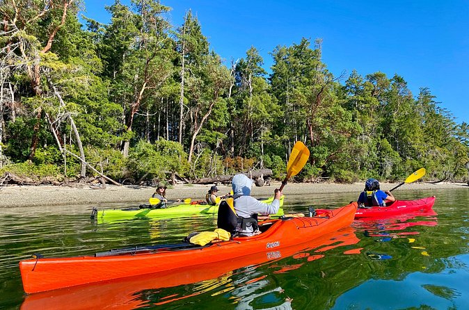 Guided Kayak Tour To Hope Island State Park - Stop at Hope Island State Park: trails, old growth, and fruit trees