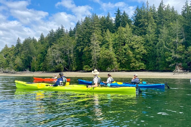Guided Kayak Tour To Hope Island State Park - The view factor: Olympics, Rainier, and why clear days matter