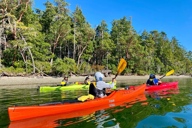Guided Kayak Tour To Hope Island State Park - Guides Ross and Doug: why their style matters on water
