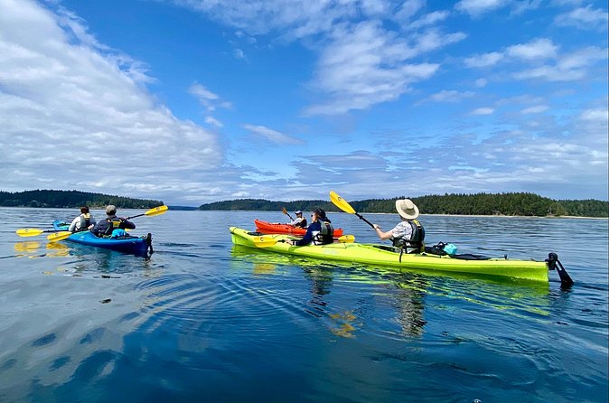 Guided Kayak Tour To Hope Island State Park - Physical fit and safety expectations (the stuff to check before booking)