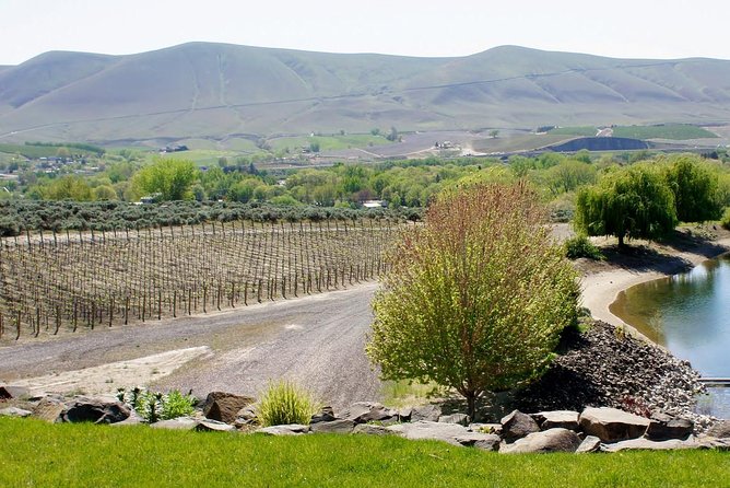 Hike Mt. Rainier & Taste Yakima Valley Wine: All-Inclusive Day Tour from Seattle - Morning energy, Bigfoot stop, and the road to Rainier