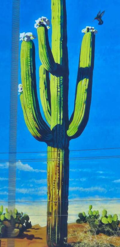 Historic Tucson Walking Tour - Why Tucson Murals Matter More Than Photos