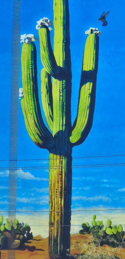 Historic Tucson Walking Tour - Why Tucson Murals Matter More Than Photos