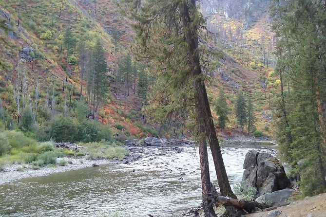 Luxury Leavenworth Day Trip through the Cascade Mountains - Stevens Pass Scenic Byway: A Drive Full of Photo Stops