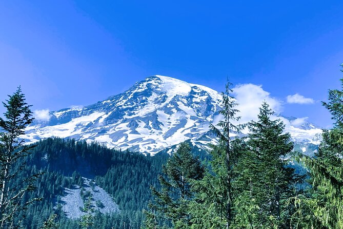 Mount Rainier Customized Tour from Seattle - Paradise Visitor Center and trail time you can actually use
