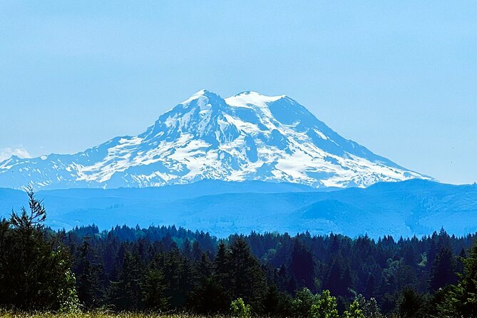 Mount Rainier Customized Tour from Seattle - Price and value: what $195 really buys you