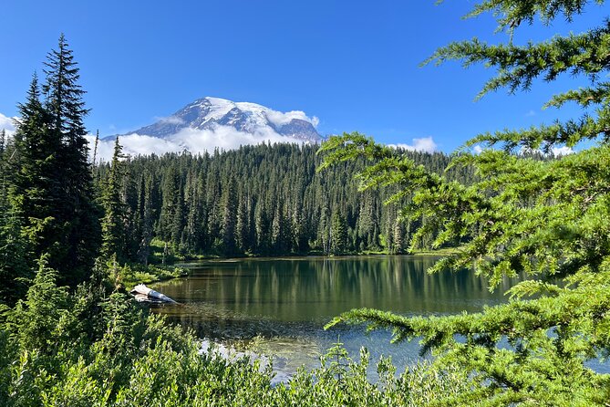 Mount Rainier Customized Tour from Seattle - Elbe and Longmire: the warm-up before the big views