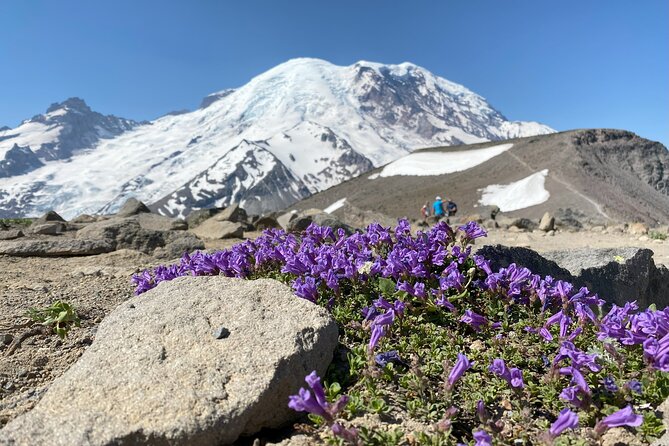 Mount Rainier Day Hike - Weather and safety: the part that can make or break a Rainier day