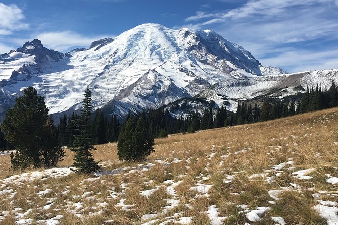 Mount Rainier Day Hike - Group size, guide style, and why it matters on a hike