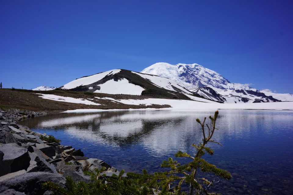 Mount Rainier: Day Hike on the Mountain - Sunrise Visitor Center to the Ridge: First Volcano Sightlines