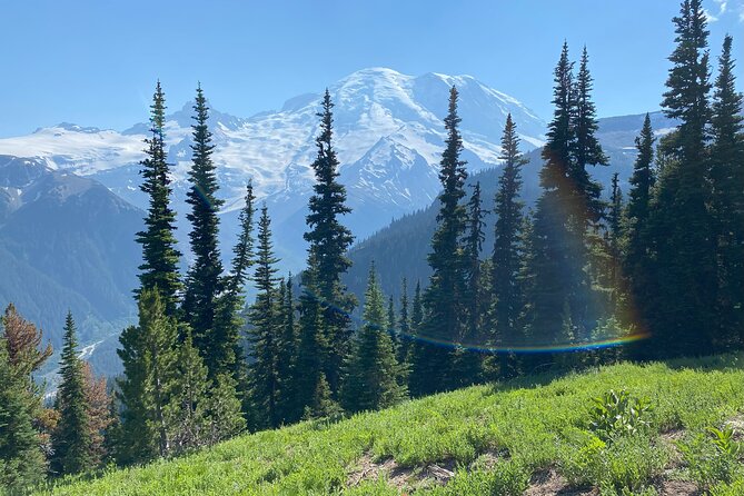 Mount Rainier Day Hike - The Burroughs Trail hike: flexible pacing on a moderate-to-challenging route