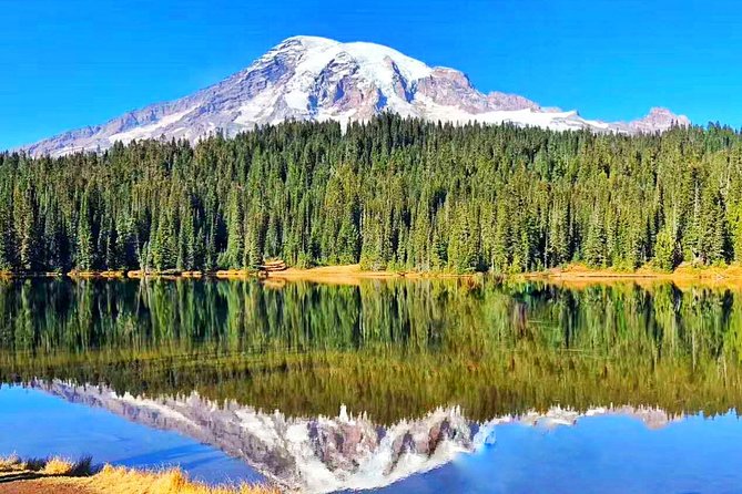 Mount Rainier National Park Day Tour from Seattle - Key Things I’d Notice Right Away