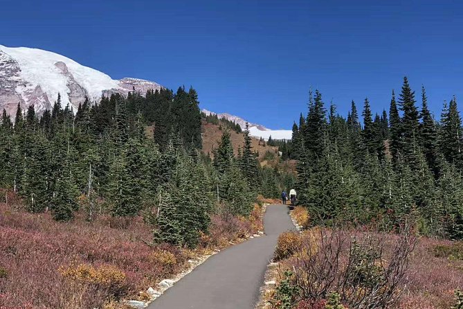 Mount Rainier National Park Day Tour from Seattle - Car-Free Pickup From Seattle to Rainier: The Real Time Saver