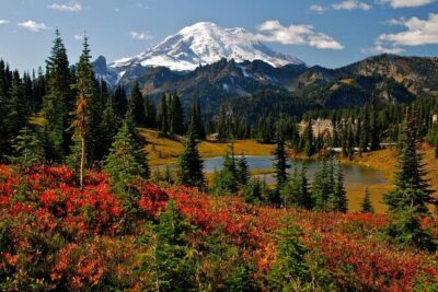 Mount Rainier National Park Day Tour from Seattle - What the Guide Actually Adds (Beyond Point-and-Shoot Photos)
