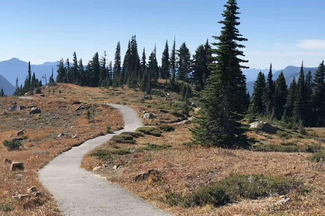 Mount Rainier National Park Day Tour from Seattle - Narada Falls: The One You Can Reach Without a Big Commitment