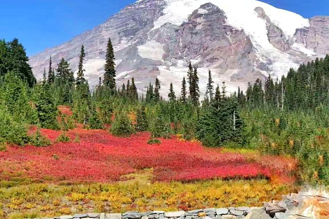 Mount Rainier National Park Day Tour from Seattle - Reflection Lakes: The Mirror Moment (When Conditions Cooperate)