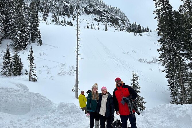 Mount Rainier Private Full Day — Sprinter Van or SUV - From Seattle to the Henry M. Jackson Visitor Center, the smart way to begin