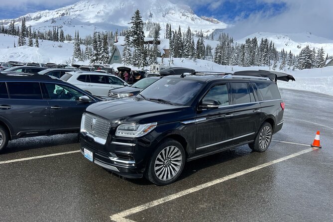 Mount Rainier Private Full Day — Sprinter Van or SUV - The value check: what $350 per person buys you