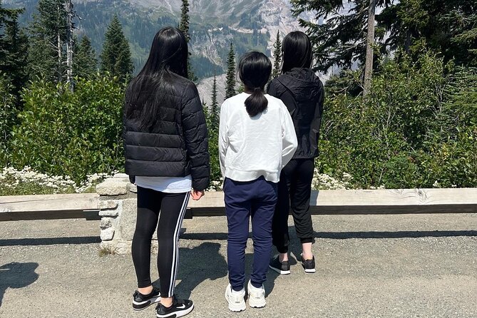 Mount Rainier Private Full Day — Sprinter Van or SUV - Paradise and Skyline Trail: 2 hours of earned viewpoints