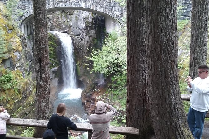 Mount Rainier Tour from Seattle - Walking flexibility: light to no walking without losing the fun
