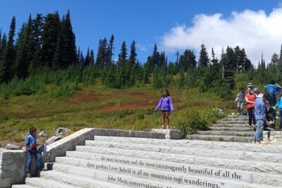 Mount Rainier Tour from Seattle - More than just the big view: waterfalls, forests, and frequent photo stops