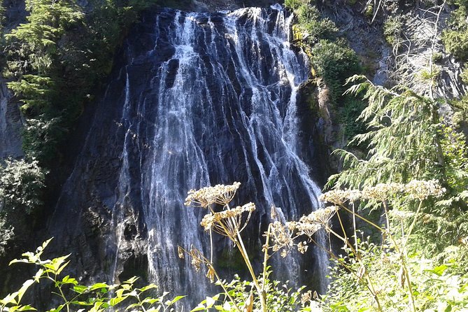 Mount Rainier Tour from Seattle - Price and value: what $462.37 per person is really buying