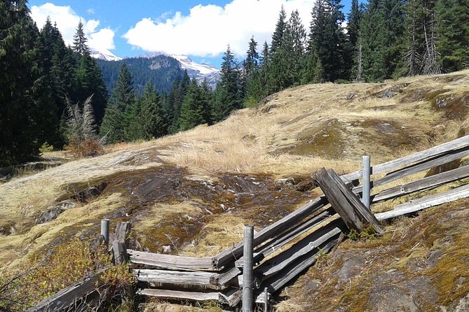 Mount Rainier Tour from Seattle - Guides and personalities: why it feels different with the right host