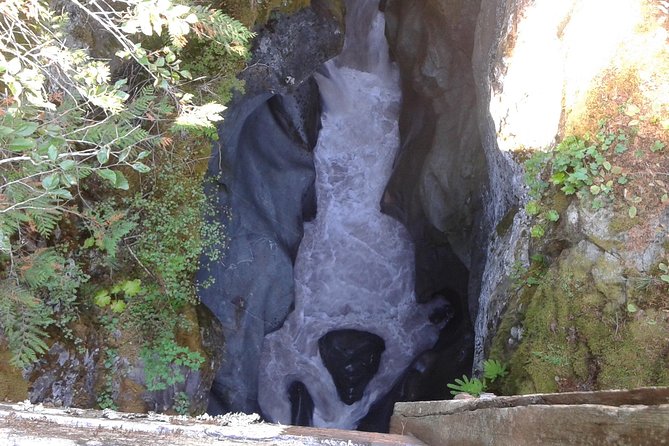 Mount Rainier Tour from Seattle - Who this Mount Rainier tour from Seattle fits best