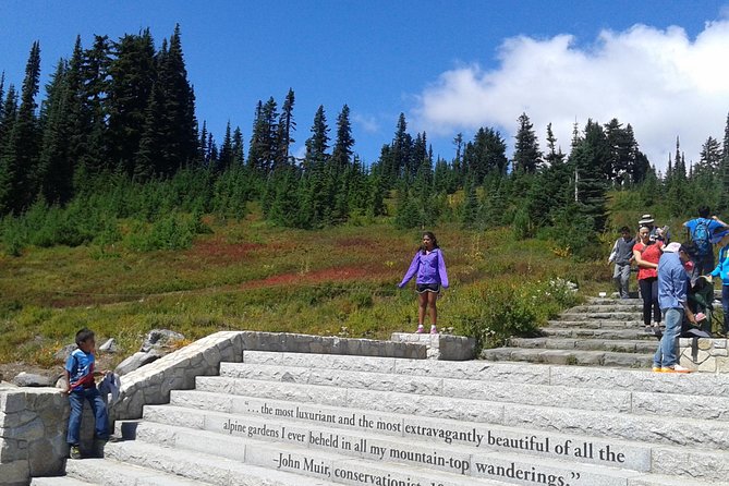 Mount Rainier Tour from Seattle - More than just the big view: waterfalls, forests, and frequent photo stops