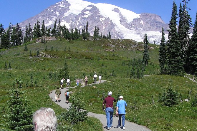 Mt. Rainier Day Tour from Seattle - Henry M. Jackson Visitor Center lunch break (and a chance to stretch)