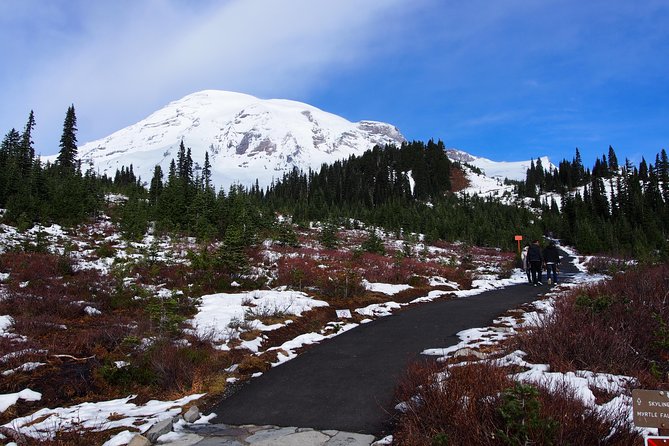 Mt. Rainier Day Tour from Seattle - Mt. Rainier views: getting closer with Longmire and the main viewpoint