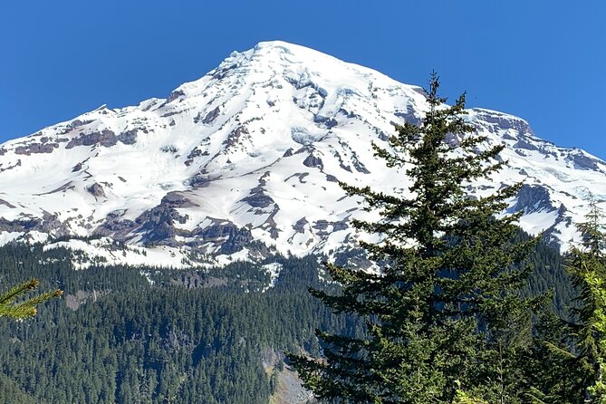 Mt. Rainier highlights - old forest, falls and glaciers - Hike vs. Snowshoe (Nov–Jun): The Season-Smart Part