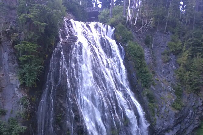 Mt. Rainier highlights - old forest, falls and glaciers - Value for $179: What You’re Paying For