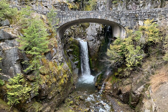 Mt. Rainier highlights - old forest, falls and glaciers - Who This Tour Suits Best (And Who Should Skip It)