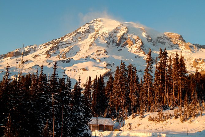 Mt. Rainier National Park Highlights Tour - Quick Hits You’ll Feel on Day One