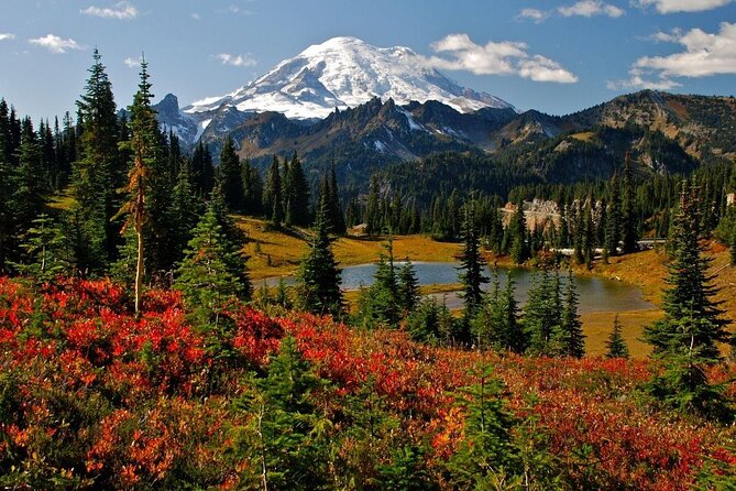 Mt. Rainier National Park Highlights Tour - From Seattle Morning to Mt. Rainier Views You Don’t Have to Chase