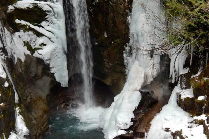 Mt. Rainier National Park Highlights Tour - Longmire Museum and Trail of the Shadows: More Than a Quick Photo Stop