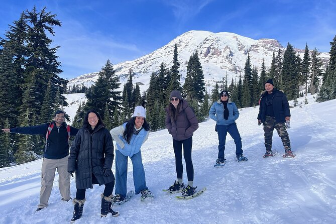 Mt. Rainier National Park Highlights Tour - Christine Falls and Narada Falls: Quick Walks, Big Reward