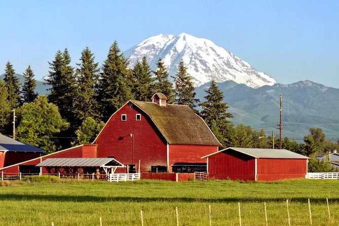 Mt. Rainier National Park Highlights Tour - Paradise Valley at 5,400 Feet: Your Main Event (and Winter Rules)