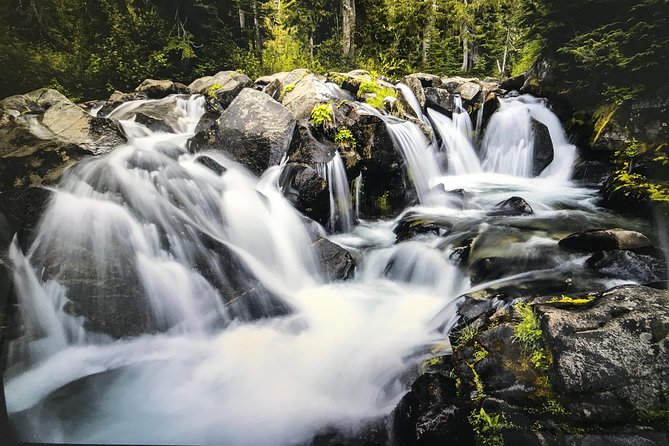 Mt. Rainier National Park Highlights Tour - Twin Firs Loop and Reflection Lakes: Old-Growth Forest That Feels Personal