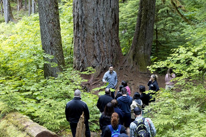 Mt. Rainier National Park Highlights Tour - Winter Snowshoeing at Paradise: How It Changes the Day