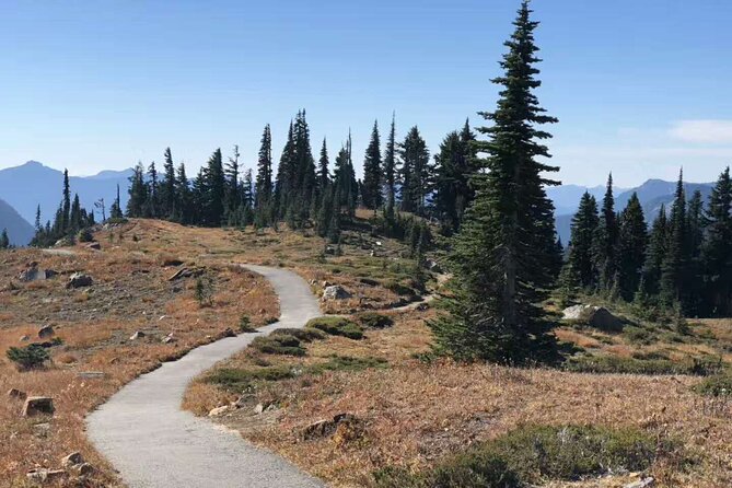 Mt Rainier National Park Small Group Day Tour from Seattle 2CanGo - Key things I’d mark on your map