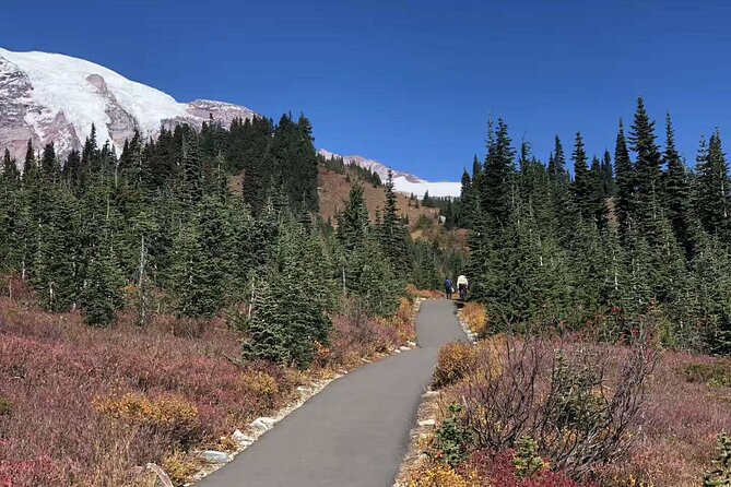 Mt Rainier National Park Small Group Day Tour from Seattle 2CanGo - Paradise Visitor Center: The Main Hub for Big Views and Big Snow
