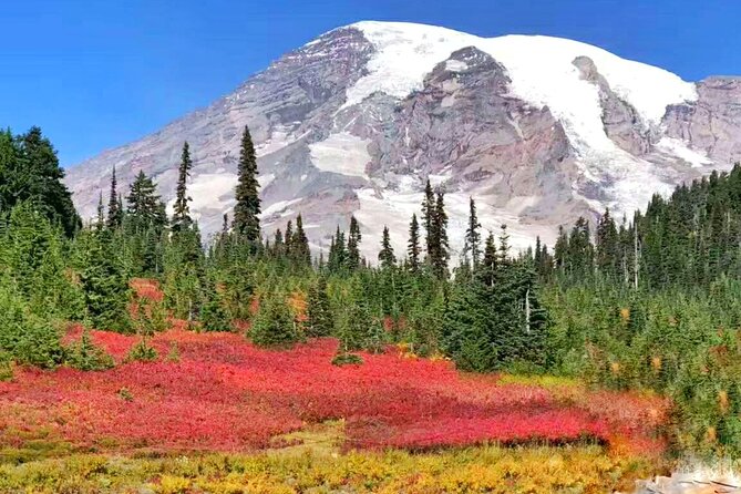 Mt Rainier National Park Small Group Day Tour from Seattle 2CanGo - Reflection Lakes: When the Mirror Works, It’s All You Need