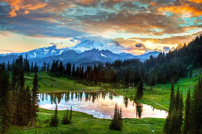 Mt Rainier National Park Small Group Day Tour from Seattle 2CanGo - Seattle Pickups and the Small-Group Size You’ll Actually Feel