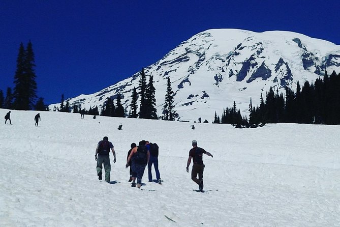 Mt Rainier Private Tour Experience in SUV - Snacks, Bottled Water, and How Lunch Fits In
