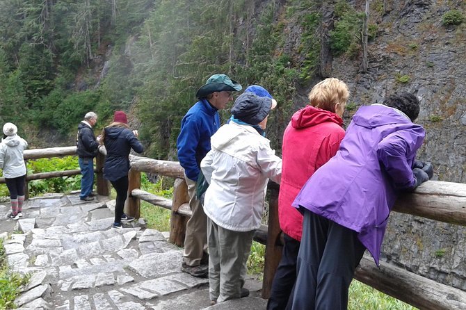 Mt Rainier Private Tour Experience in SUV - Price and Value: How $462.36 Per Person Really Works Out