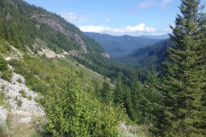 Mt Rainier Private Tour Experience in SUV - Who This Mt. Rainier Private SUV Tour Suits Best